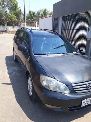 Corolla fielder
