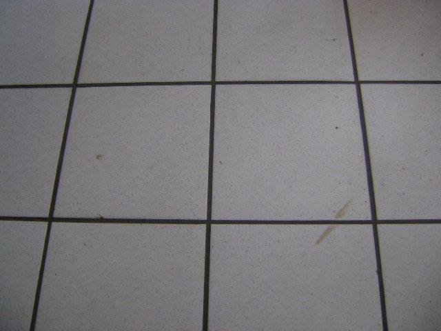 Comercial na cidade de São Carlos cod: 26256 - Foto 8