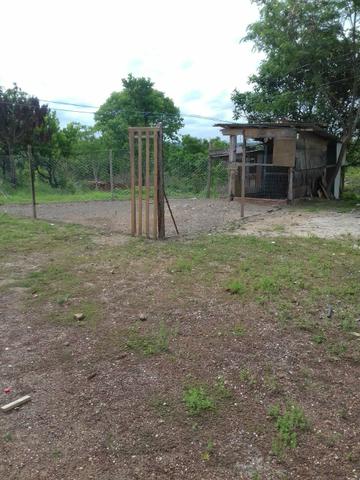 Vendo chácara ou troco por casa ou apartamento - Foto 6