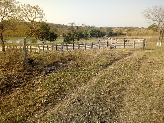 Fazenda 163 hectares, no chapel do sol, em Acorizal - Foto 14