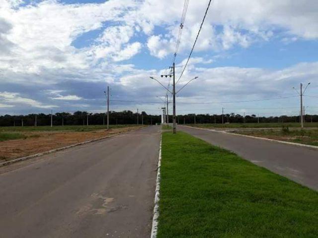 Terreno para Venda floresta tropical - Foto 2