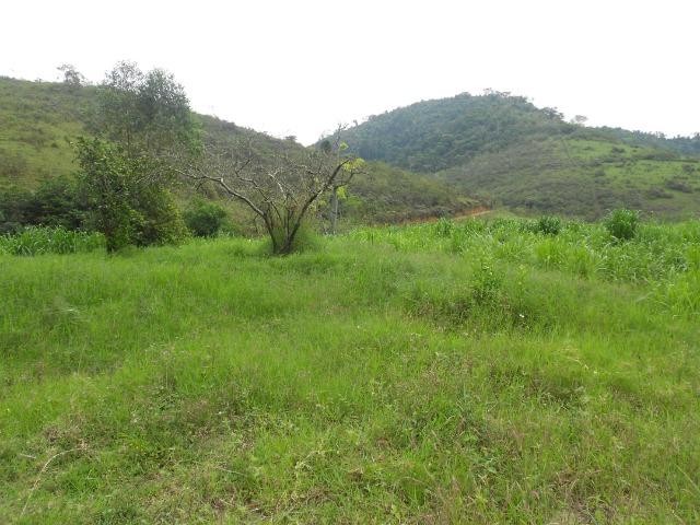 Jordão Corretores - Fazendinha leiteira 5 alqueires - Foto 18