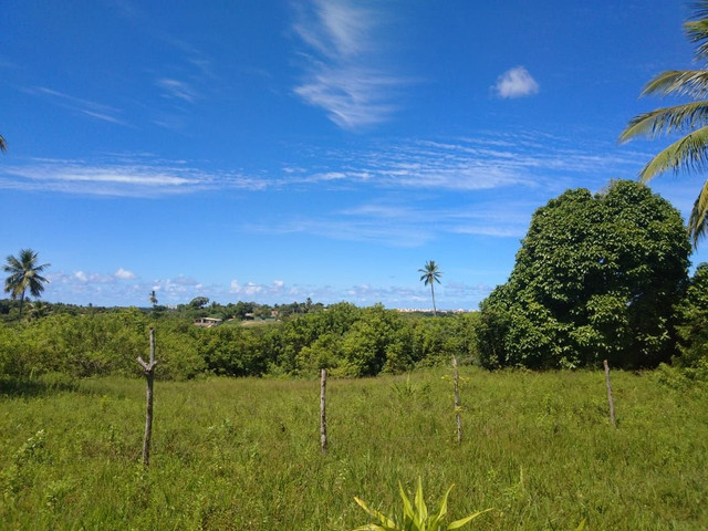 Sítio em Abrantes - Foto 2