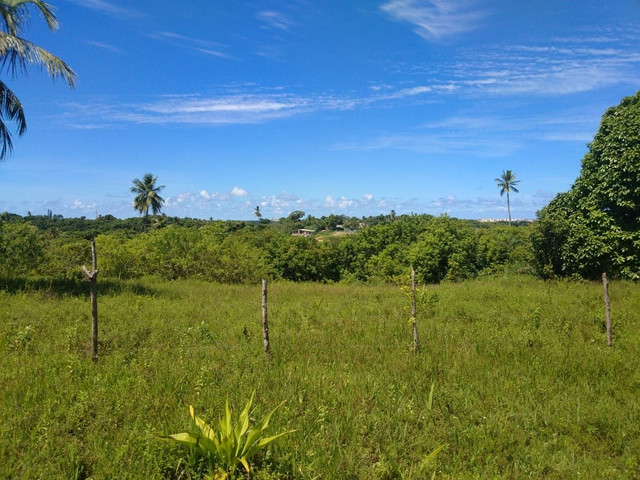 Sítio em Abrantes