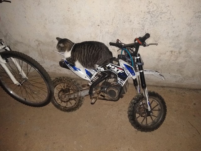 MINI MOTO