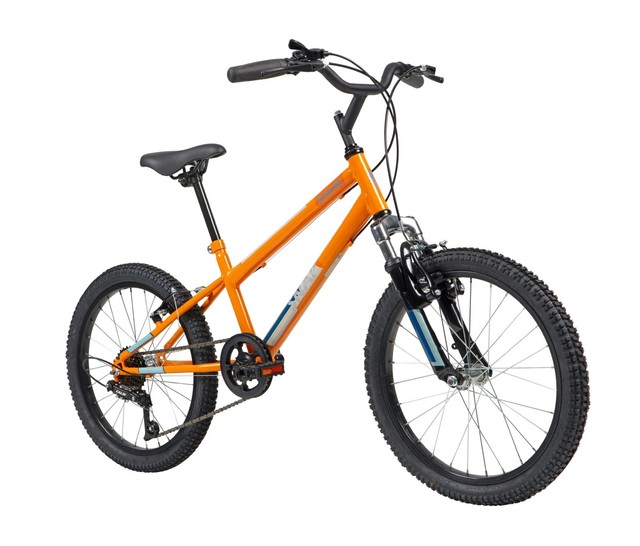 Bicicleta Caloi Snal Aro 20