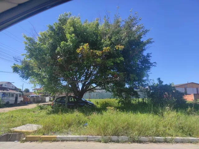 Lote/Terreno para venda com 420 metros quadrados em Praia da Enseada - São Francisco do Su