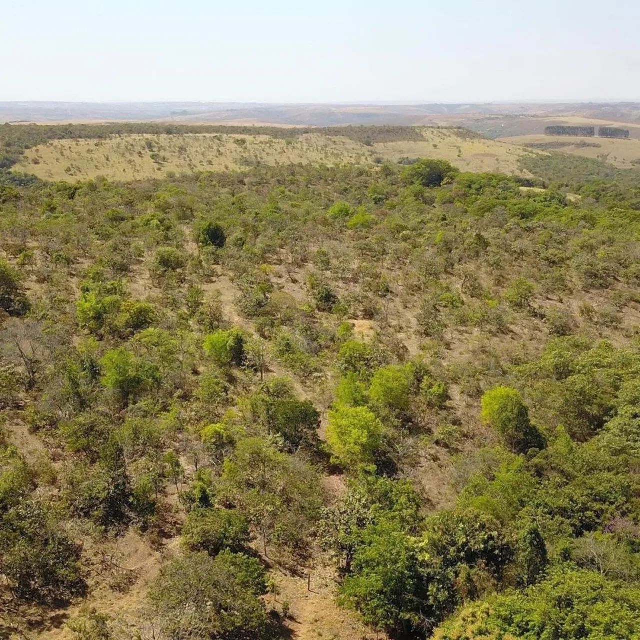 Fazenda de 6 alqueires em Girassol Cocalzinho de Goiás  - Foto 5