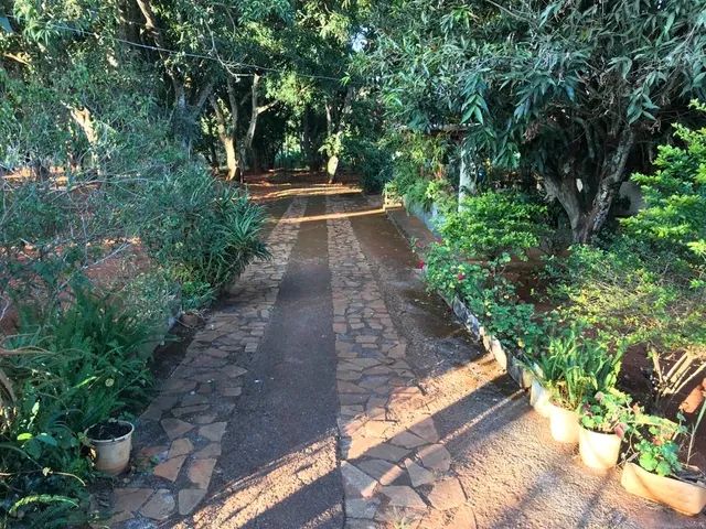 VENDO CHÁCARA EM ABADIANIA COM RIBEIRÃO  - Foto 8