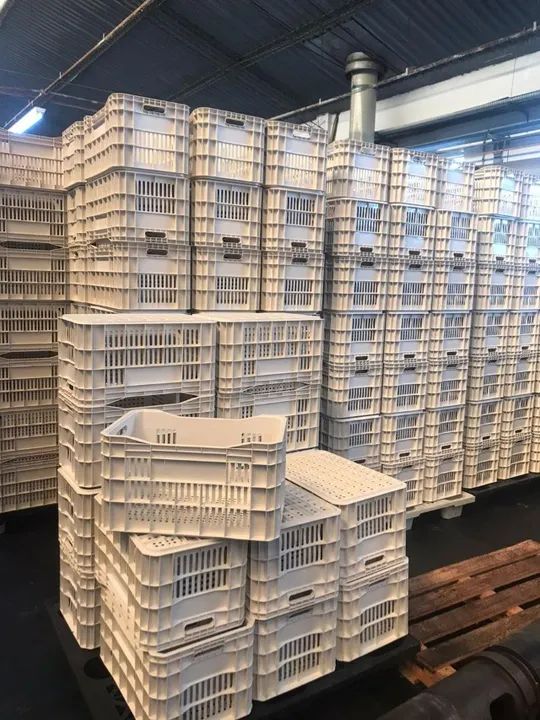 Caixas Plásticas, Estrados e Pallets Vendas diretas da fábrica - Foto 4