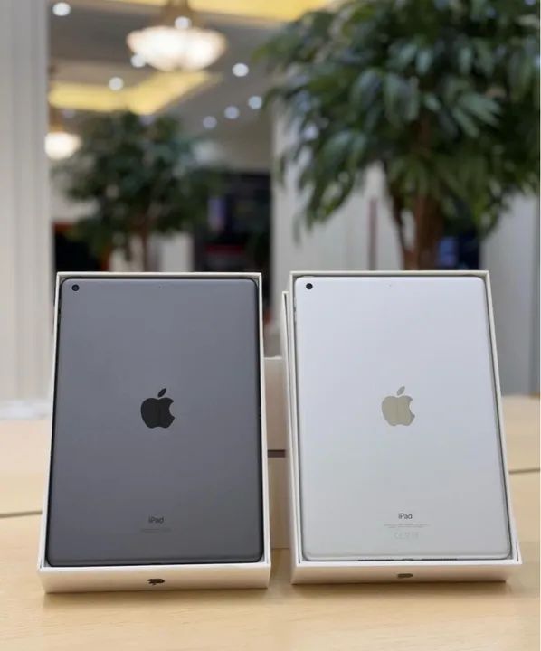 iPad 9 (2020) - 10.2 polegadas - Novo -  Space Gray e Silver