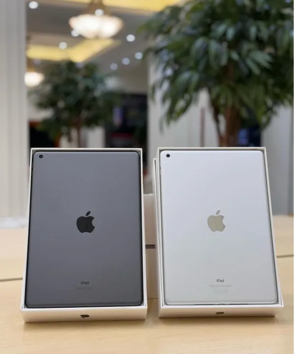 iPad 9 (2020) - 10.2 polegadas - Novo - Space Gray e Silver
