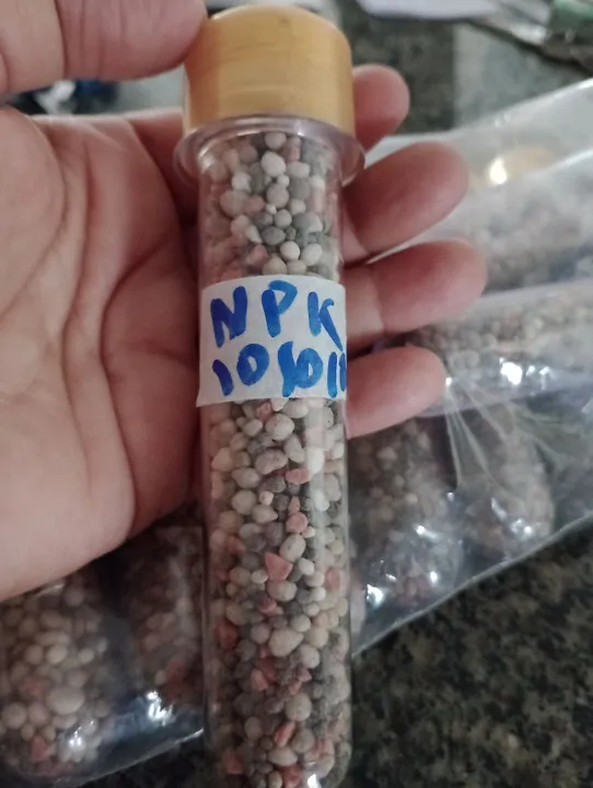 FERTILIZANTE NPK 10 10 10 PARA PLANTAS