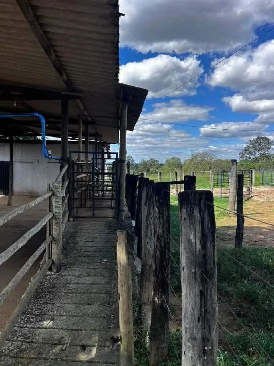 Fazenda com 4 quartos à venda, 0m² - Centro - Foto 2