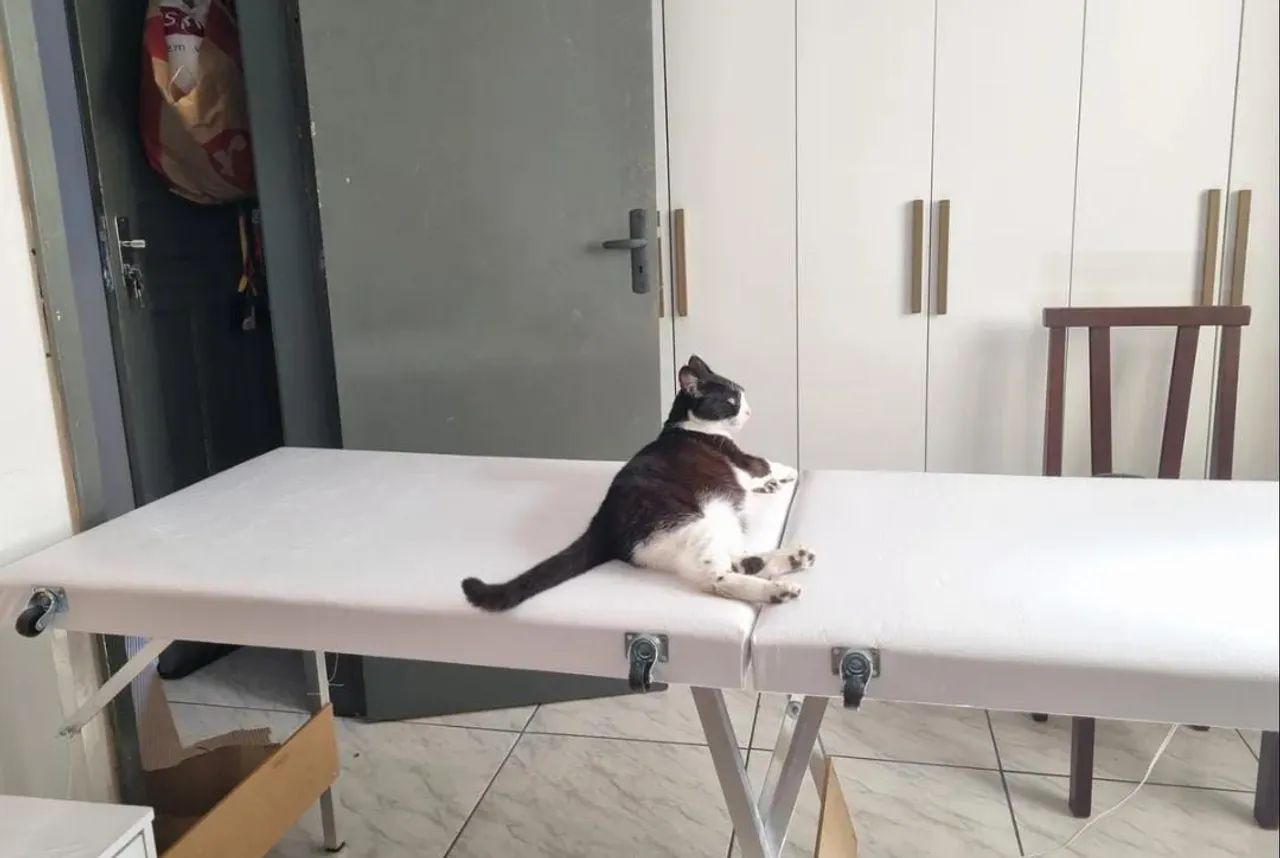Maca maleta  - Foto 2