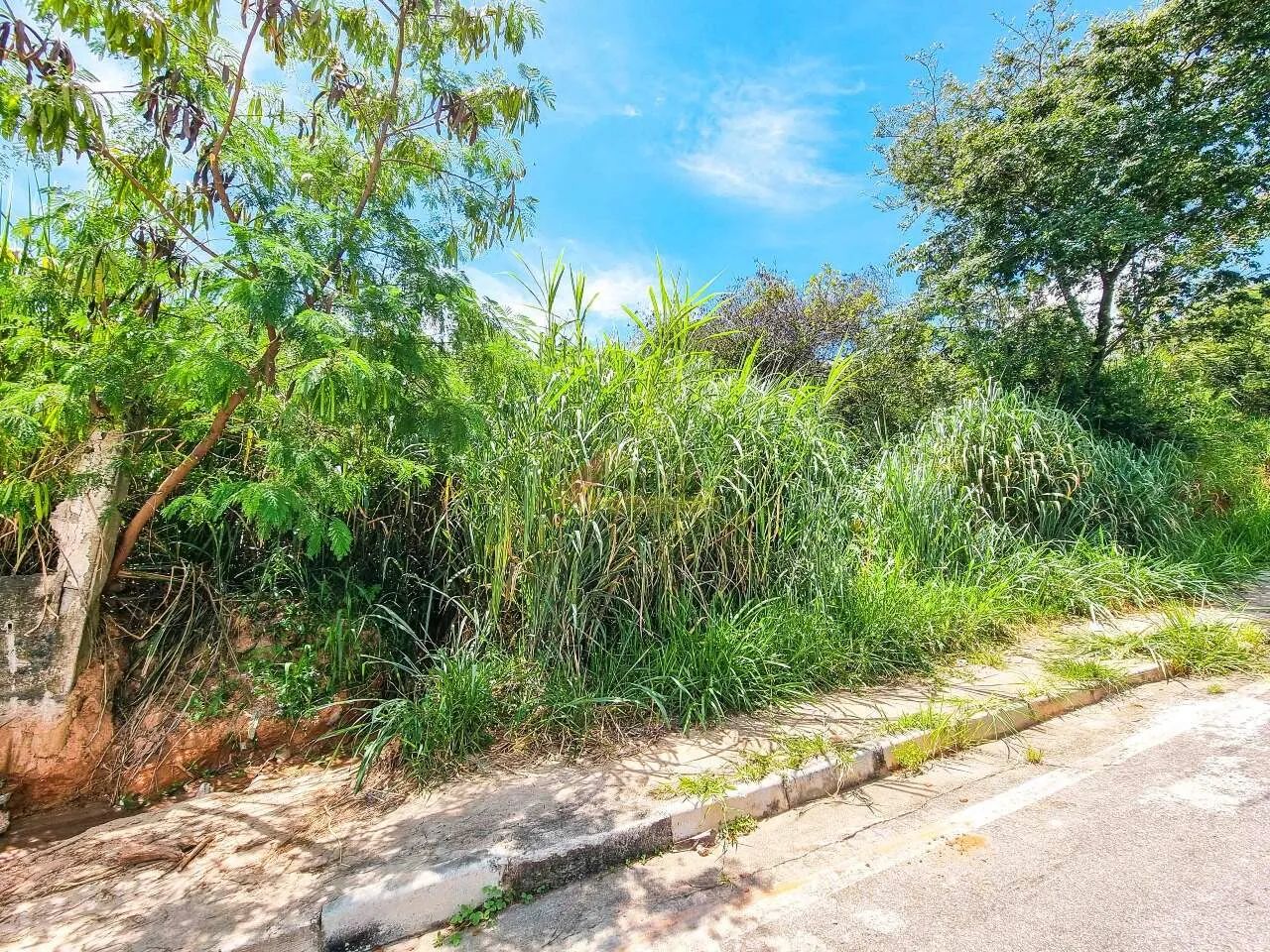 Lote à venda, Das Oliveiras - Divinópolis/MG - Foto 3