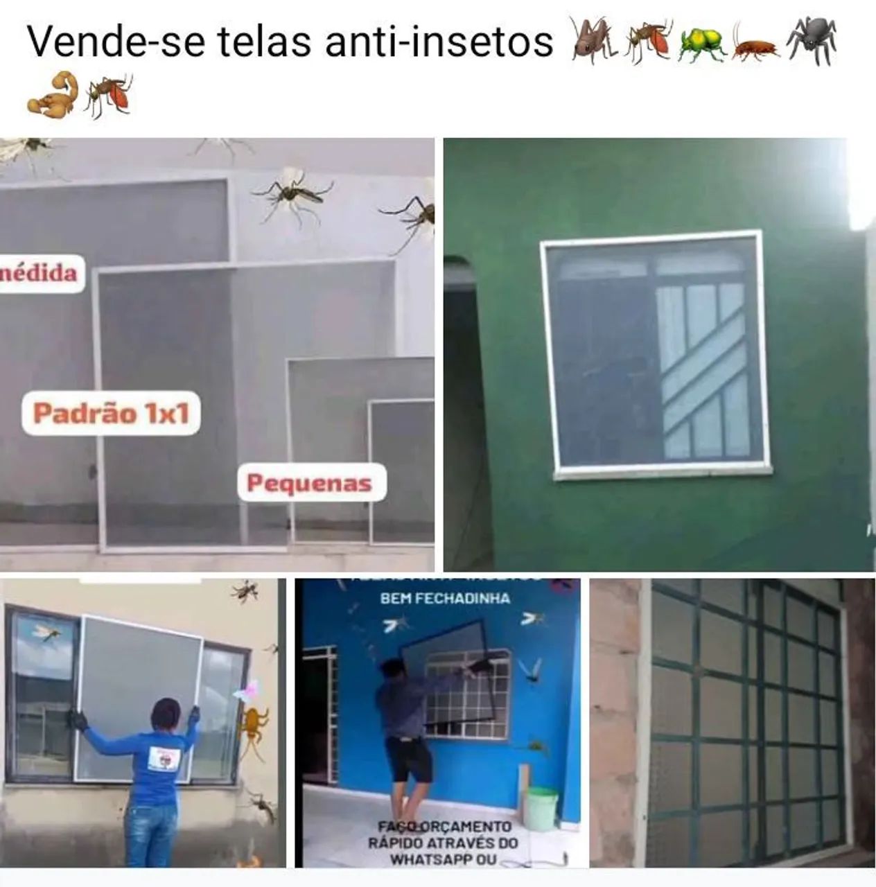 Telas anti -insetos ?