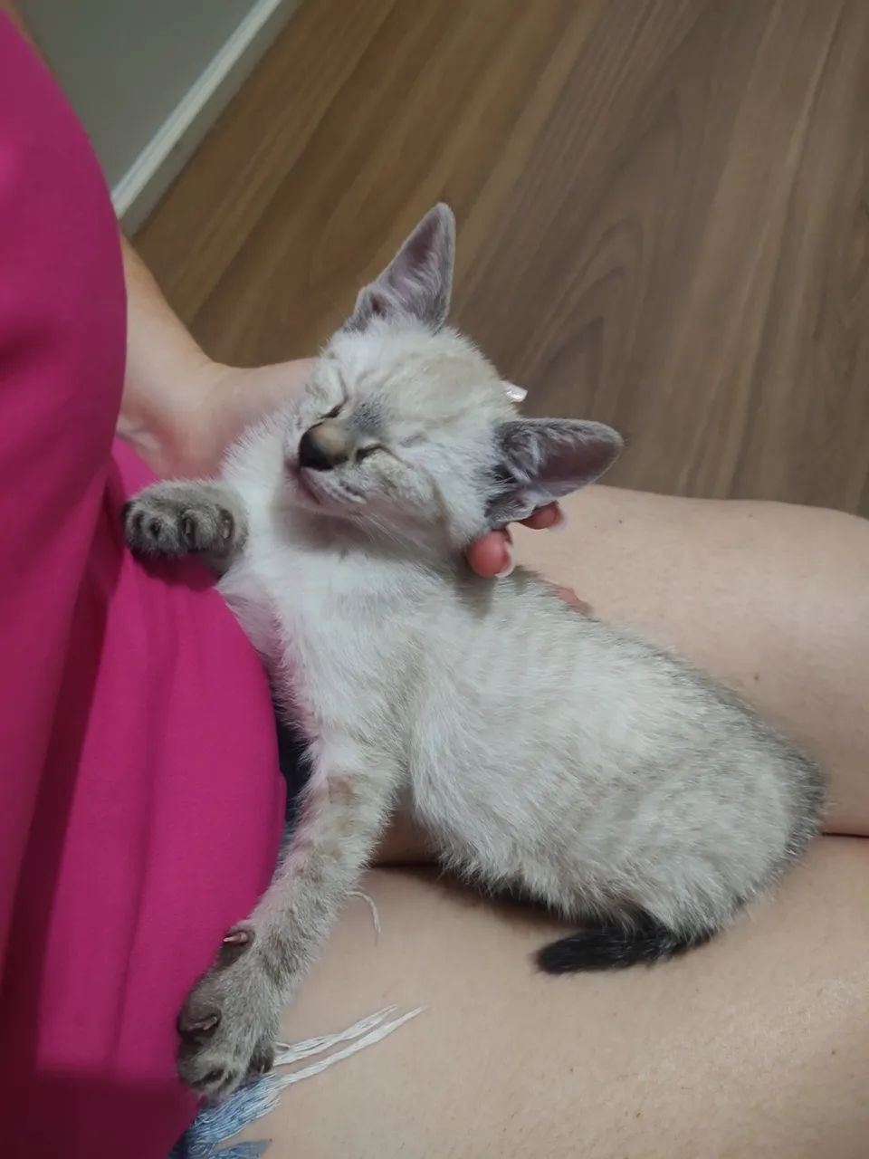 Bebê resgatado ADOTADO 