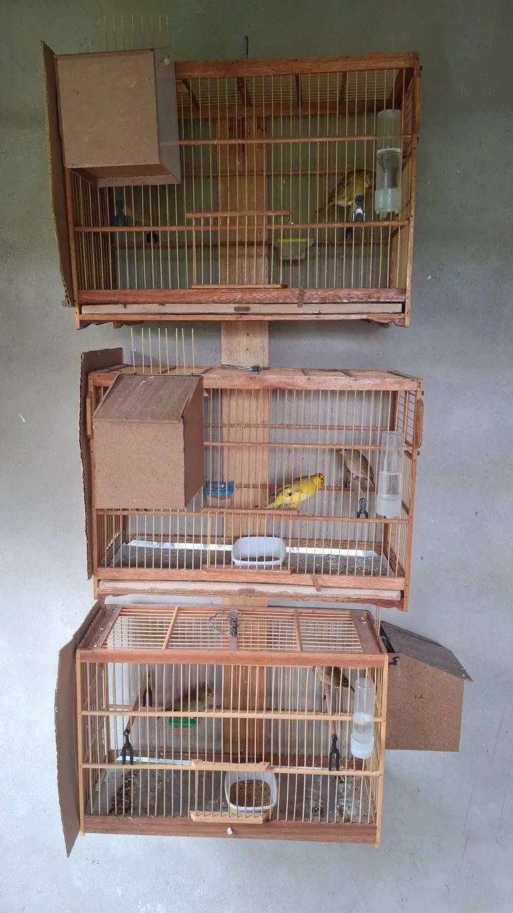 Gaiolas 64313863752066125