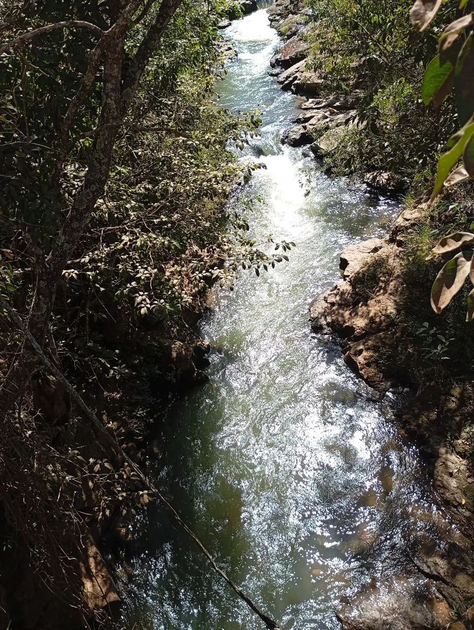 Chácara de 2 ha em alexania g.o - Foto 2