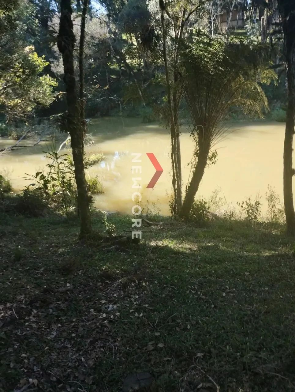 Chácara em Rua Antônio Greboge, 8000 - Centro - Colônia Malhada/PR - Foto 3