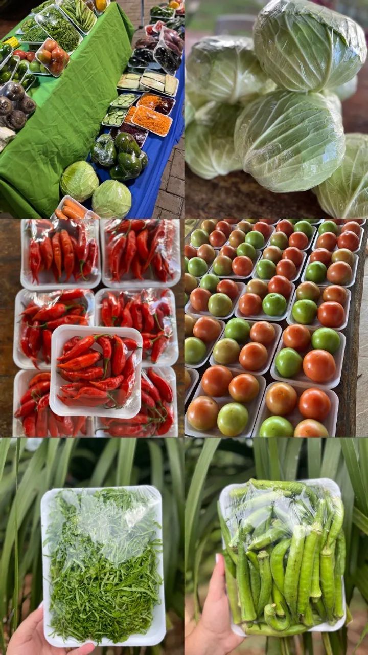 Verduras - Foto 3