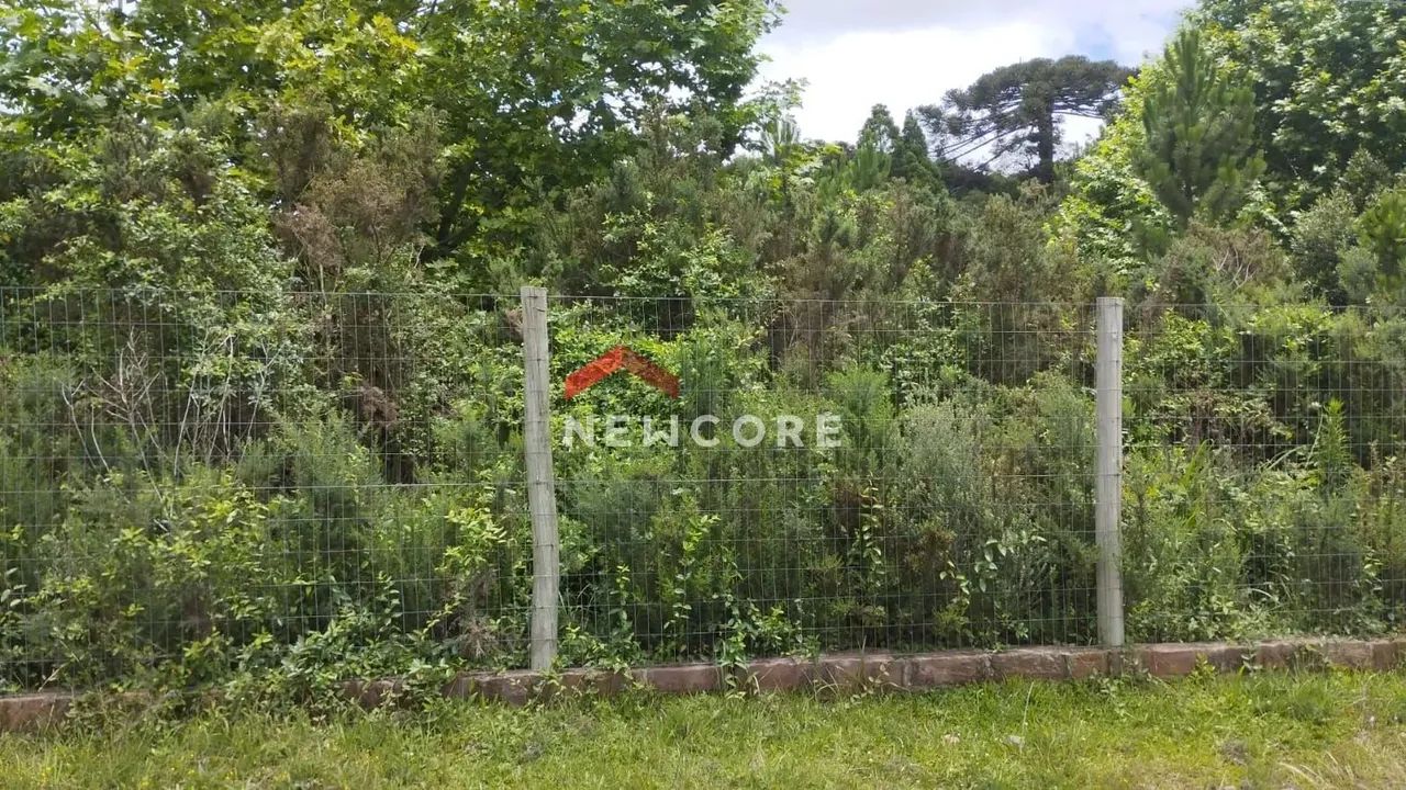 Lote em Rua Boca Da Serra - Remanso Indianópolis - São Francisco de Paula/RS - Foto 3