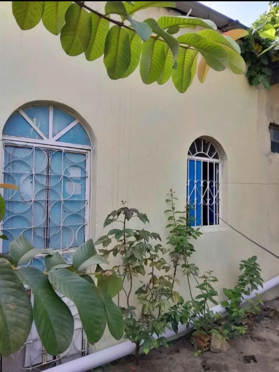 Foto - Manaus - Tarumã