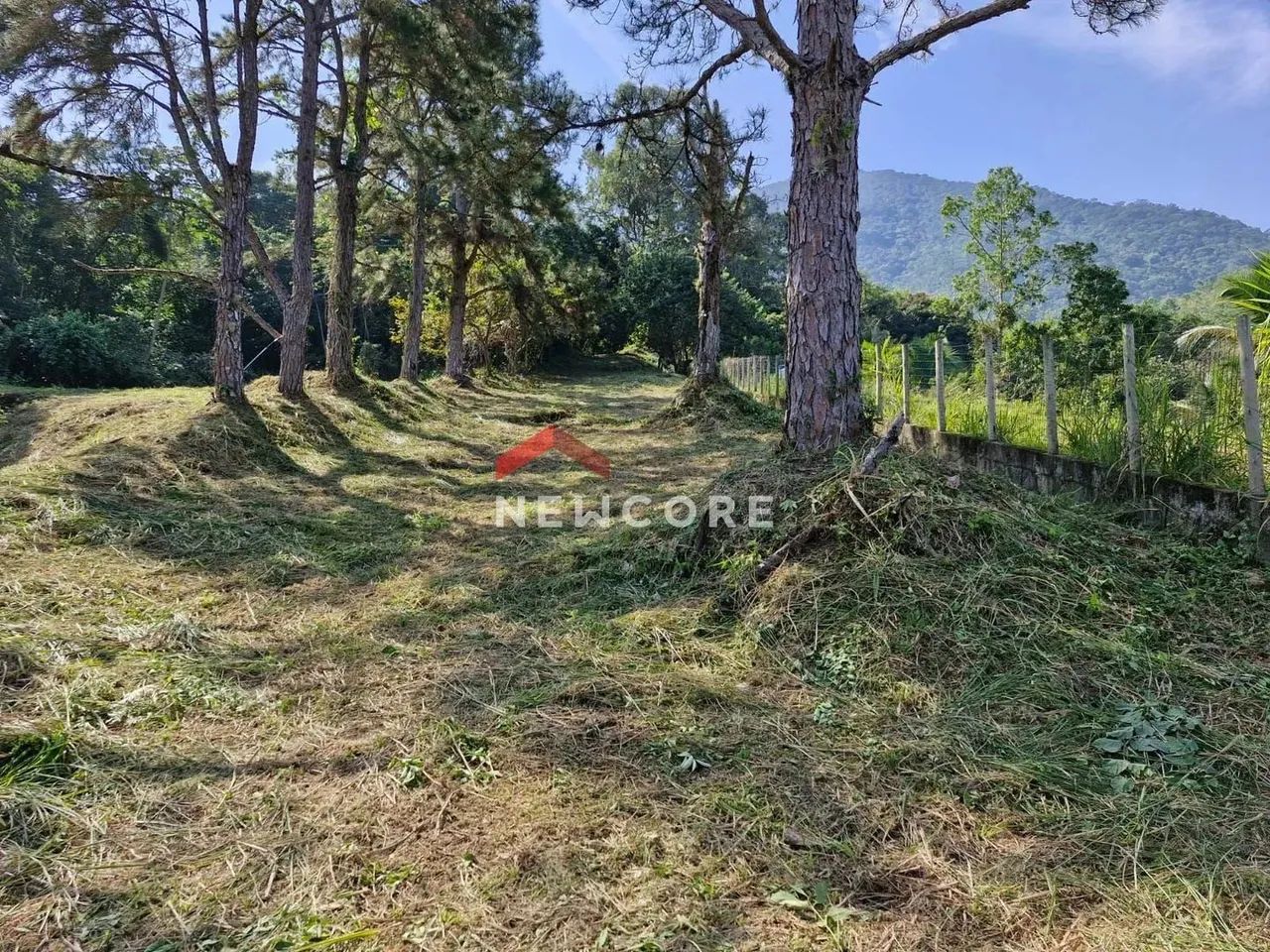 Lote em Avenida gov. Mário Covas junior - BORRIFOS - Ilhabela/SP - Foto 4
