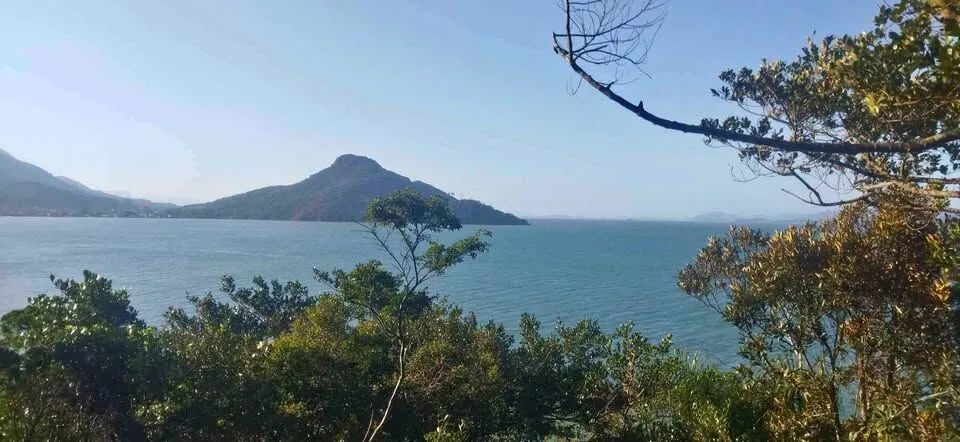 Maravilhoso Terreno com 300m² a 40 Metros do Mar na Enseada de Brito em Palhoça/SC! - Foto 4