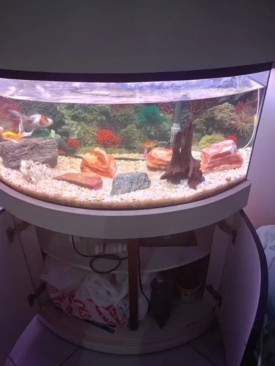 Aquario completo