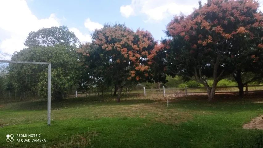 FAZENDA EM SÃO GONÇALO - 50 TAREFAS - Foto 8