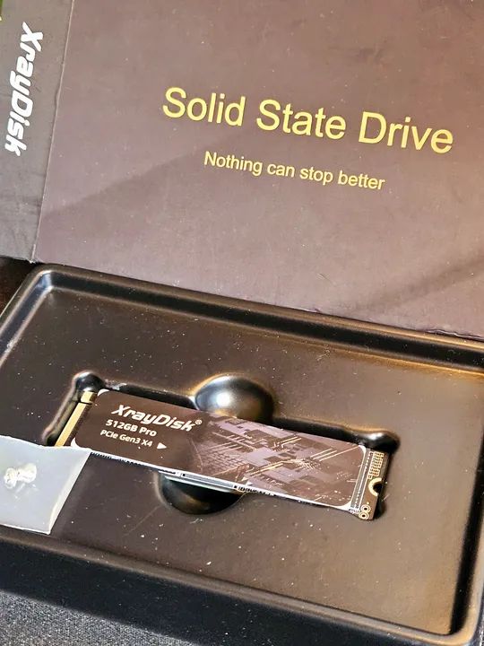 (NOVO) SSD M.2 NVME XrayDisk, 512GB Pro, PCIe Gen3x4