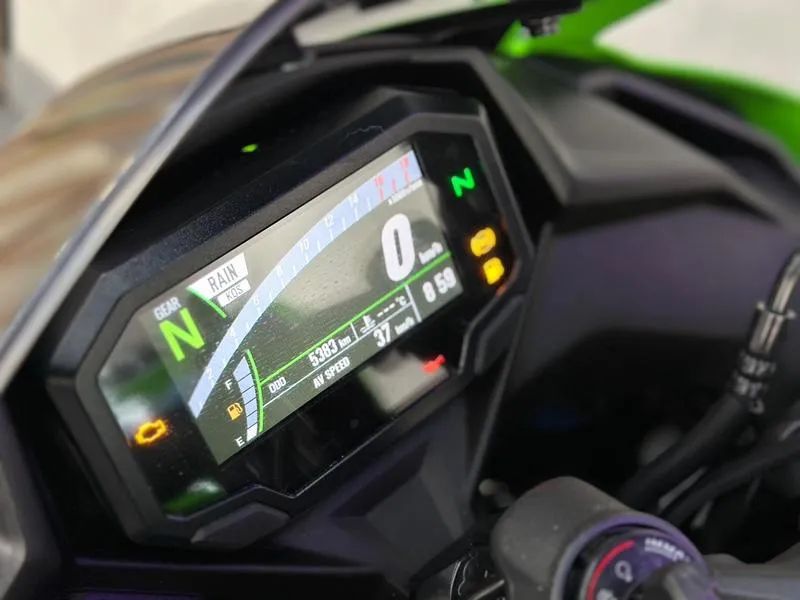 龍 PONTEIRA_G_min_jpeg.jpg