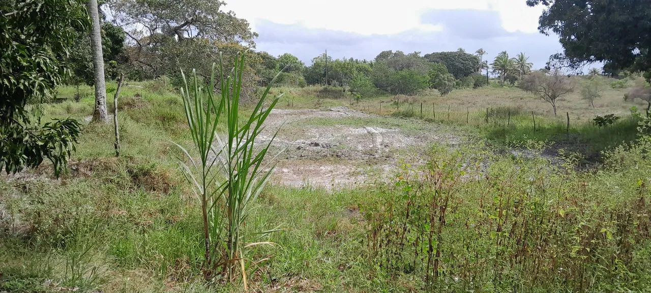 Sitio 3 taferas itaporanga  - Foto 8