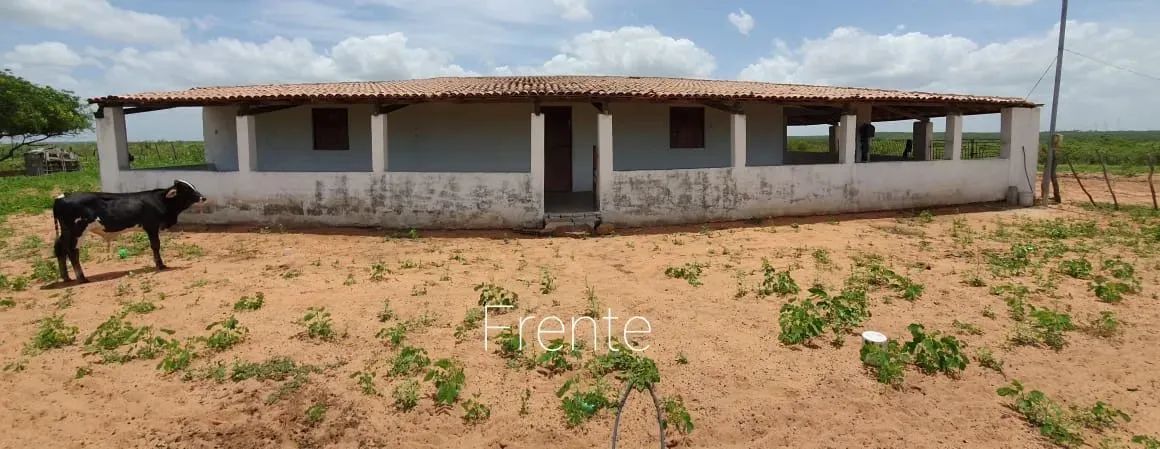 fazenda com 562 hectares na região de Afonso Bezerra terra boa de água e plana - Foto 2