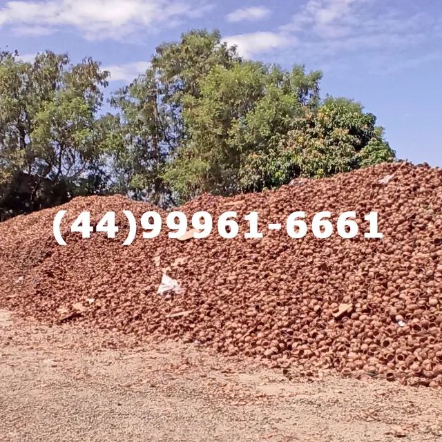 Compro descarte da casca de coco seco 64309220329475124