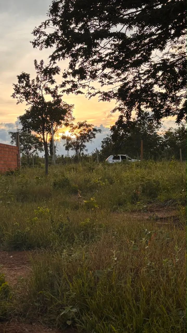 Vendo Chácara  - Foto 3