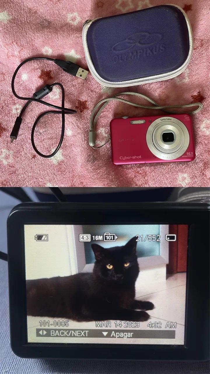 Cybershot sony