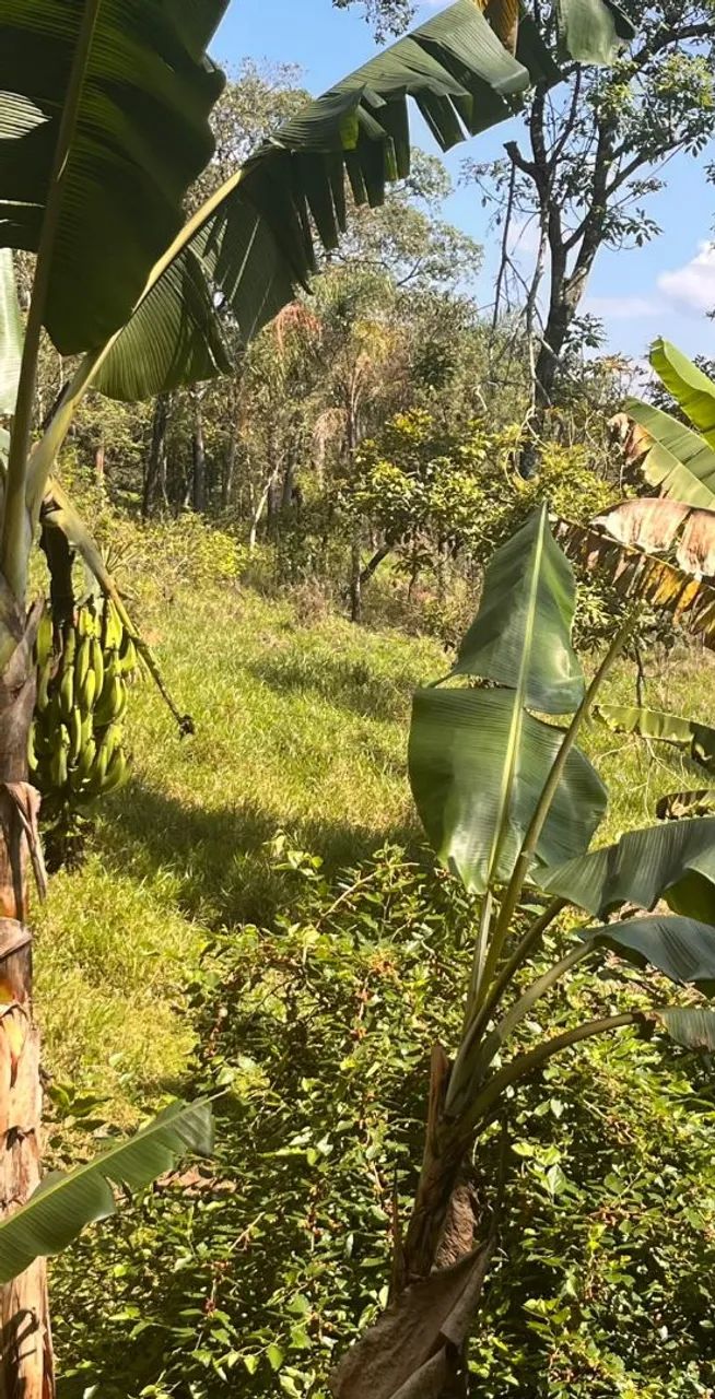 Chacara em Franco da Rocha - Foto 4