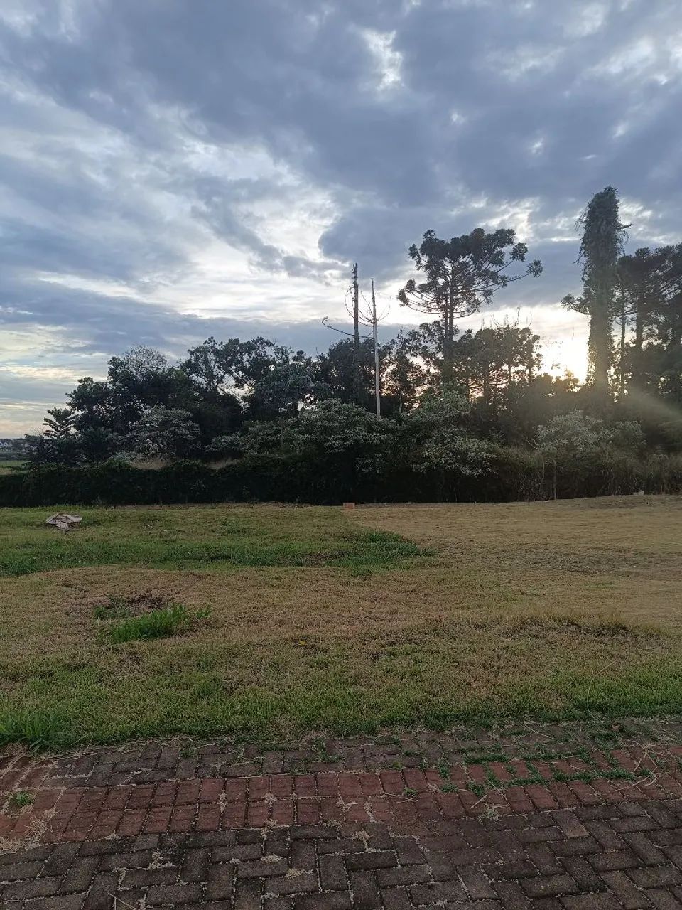 Foto - Cascavel - Parque Verde