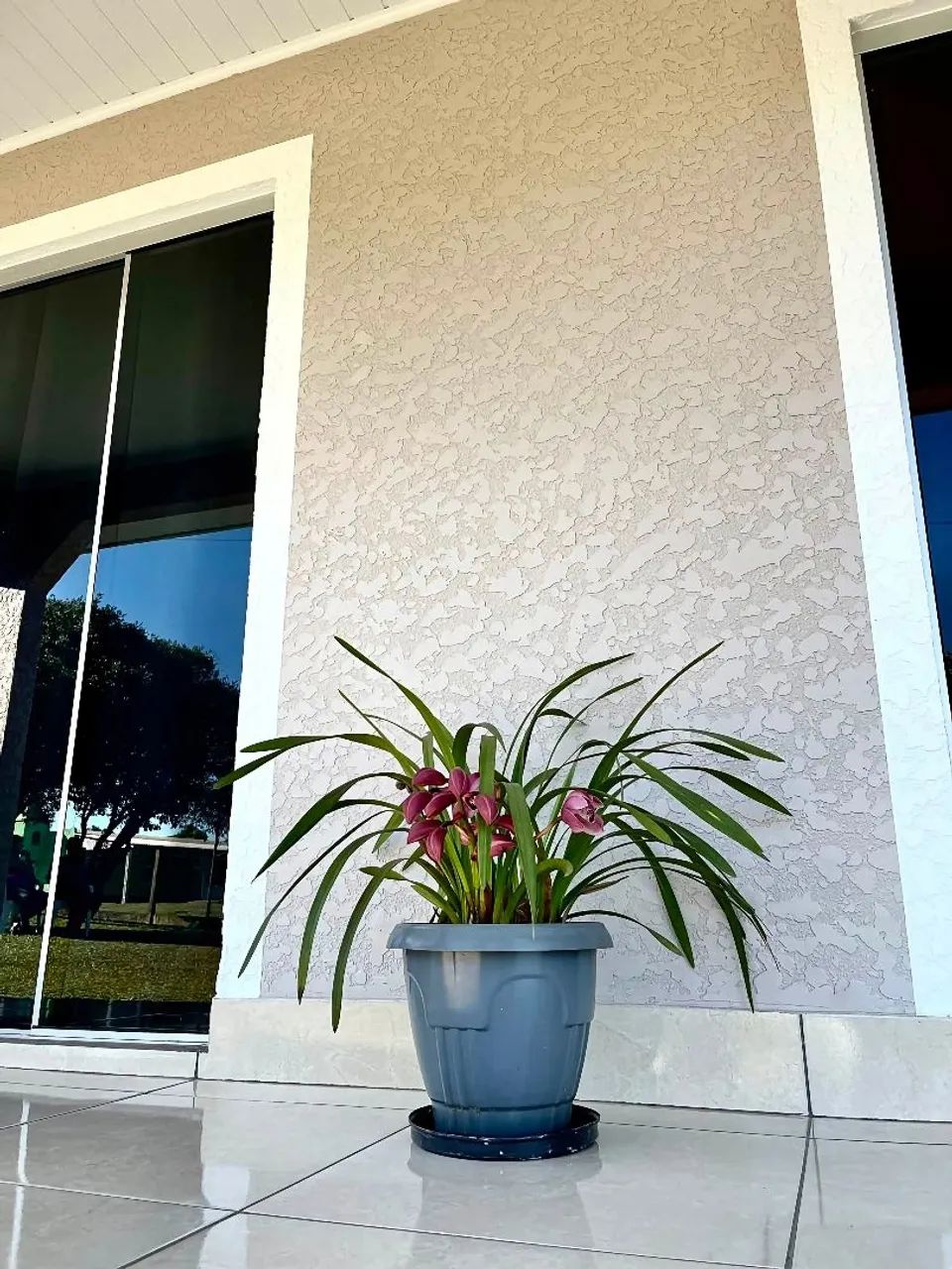 ALTERNATIVA Pinturas em geral - Foto 3