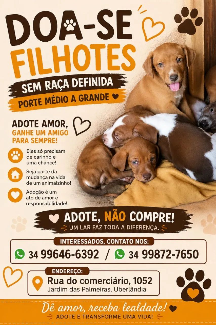 Adoção responsável 