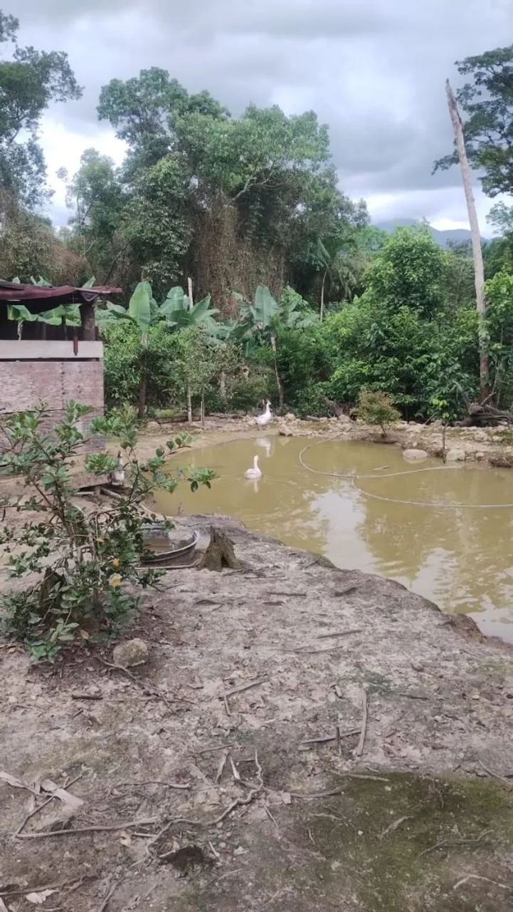 Chácara ou terreno  - Foto 2