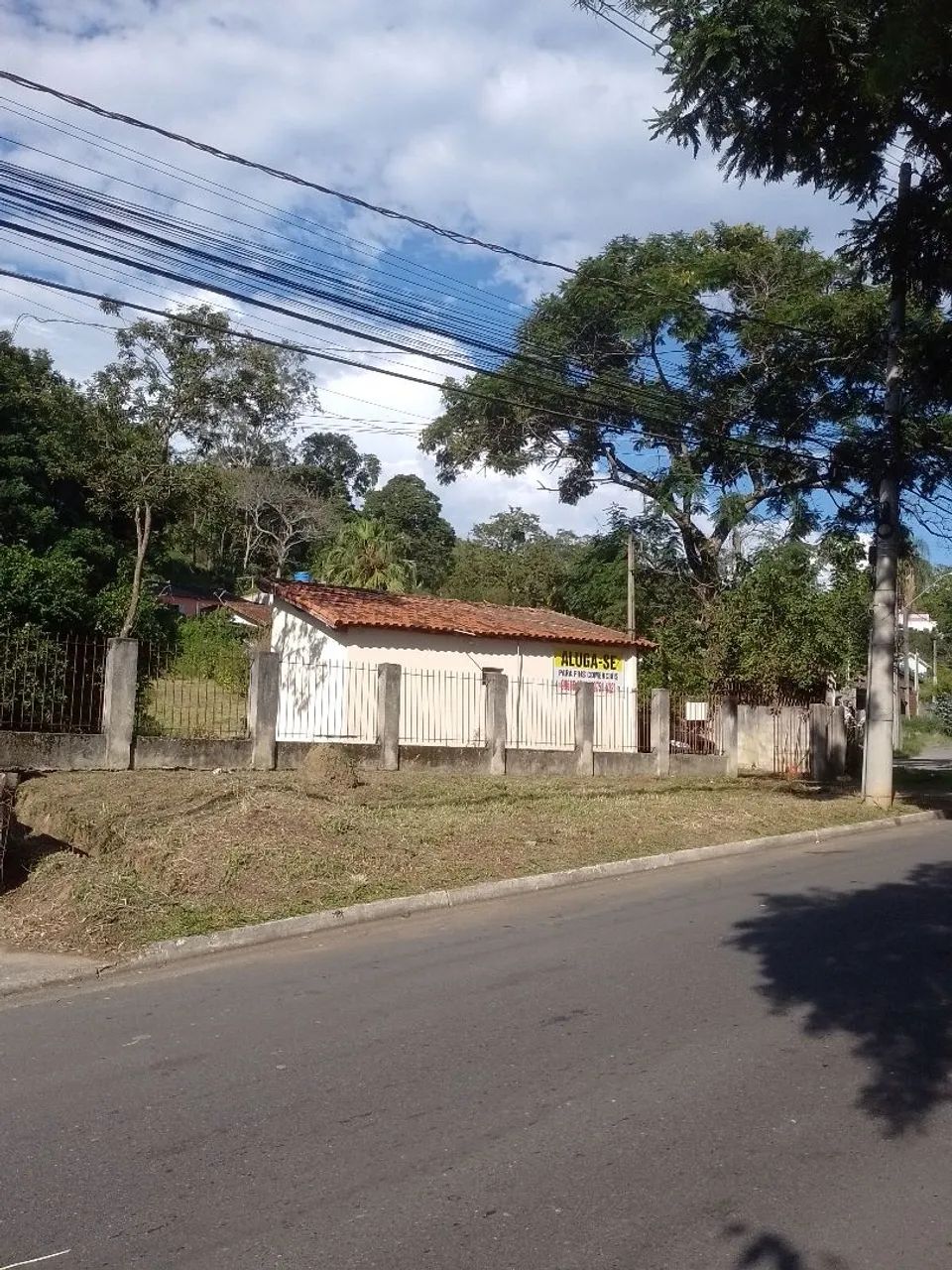 Limpeza de terreno - Foto 2