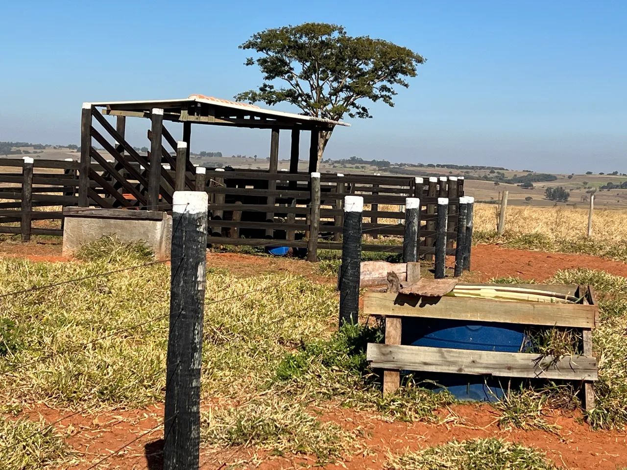 Sítio em Santo Expedito-SP - Foto 5