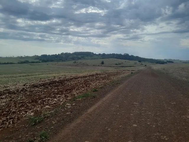 Sítio 7 Alqueires Divisa Dr Camargo/Água Boa - Foto 2