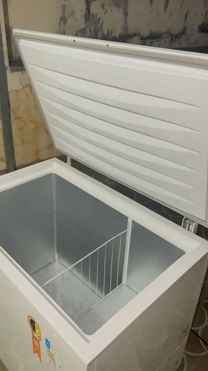 Frezzer Eletrolux 314 Litros  - Foto 5