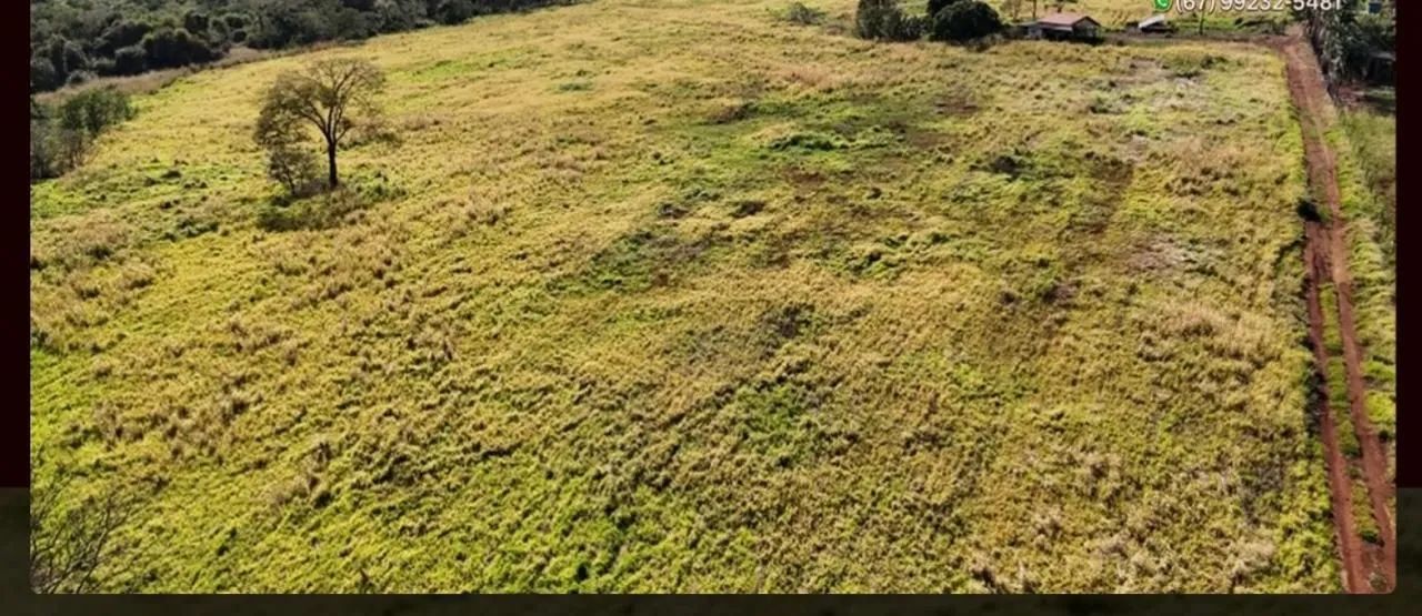 Aluguel de pasto