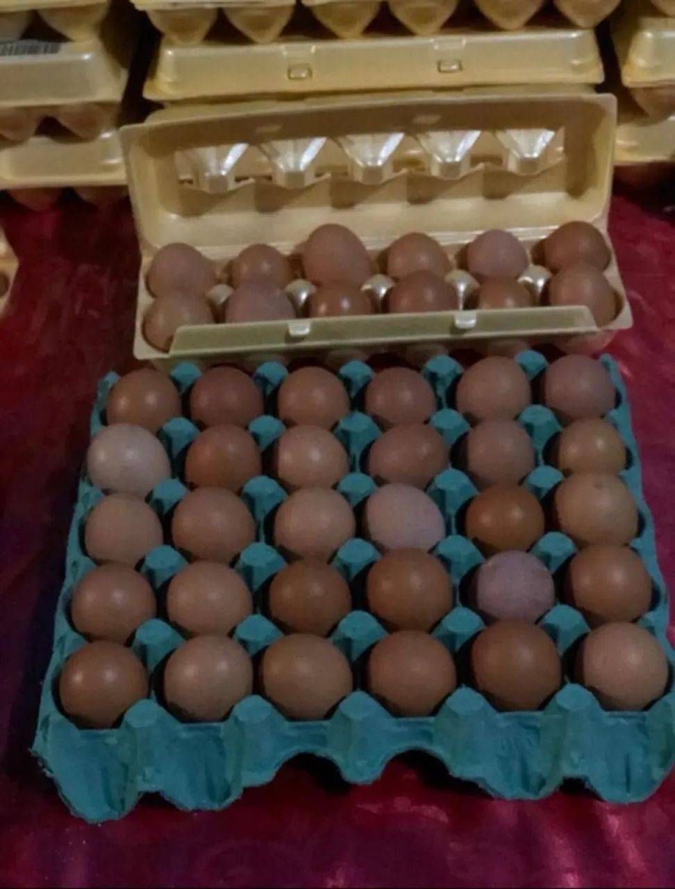 Vendo Ovos Caipira da Roça! - Foto 3